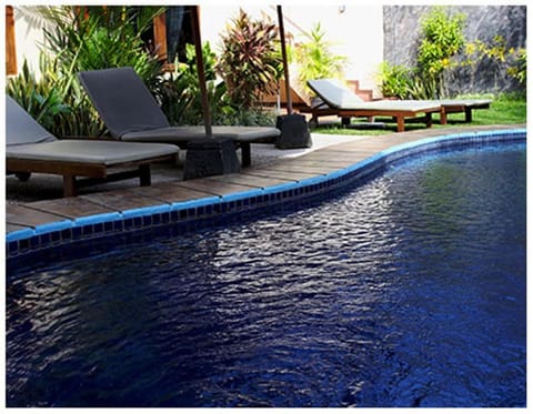 Garden, Pool view, Swimming pool