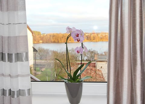 Apartments by the lake with fireplace Apartment in Vilnius County, Lithuania