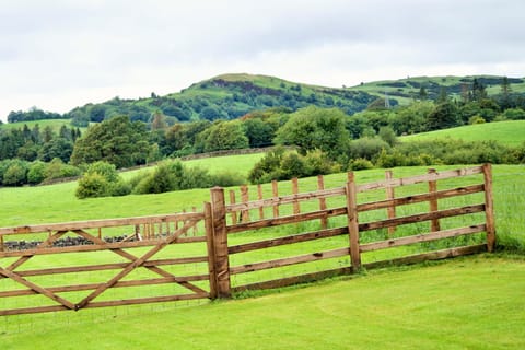 Natural landscape, Garden