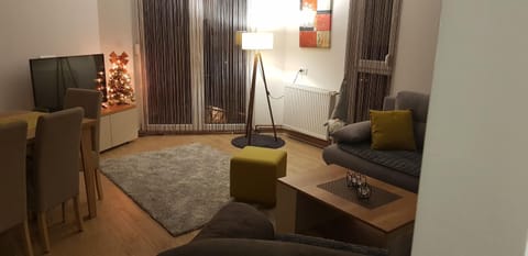 Apartman Mina Divcibare Apartment in Zlatibor District, Serbia