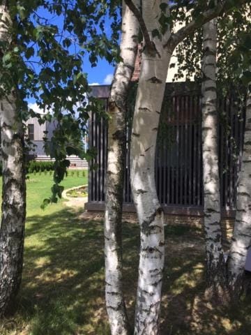 Druskininkų Šlaitas Apartment in Lithuania