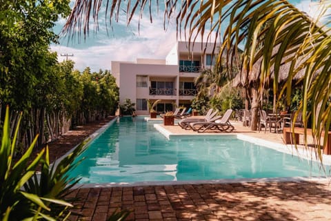 Property building, Garden, Swimming pool, sunbed