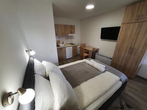 Communal lounge/ TV room, Bed, TV and multimedia, Living room, Photo of the whole room, Seating area, Bedroom