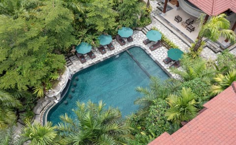 Spring, Garden, Garden view, Pool view, Swimming pool, sunbed