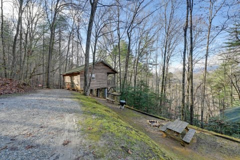 Pet-Friendly Smoky Mountain Cabin Hunt and Fish! Cabin in Fontana Lake