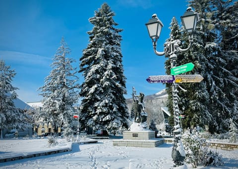 CENTRAL Kolašin Apartment in Montenegro