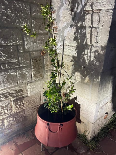 Amazing Place Villa in Halkidiki