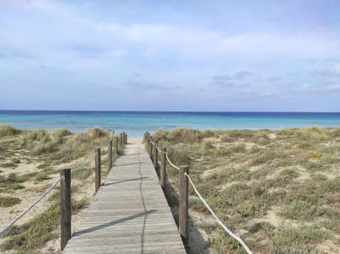Natural landscape, Beach