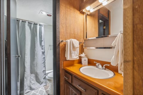 Skiwatch 438 House in Breckenridge