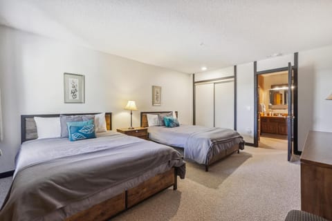 Skiwatch 438 House in Breckenridge