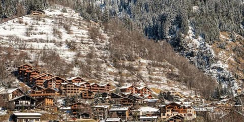 Résidence La Tour Du Merle - 4 Pièces pour 7 Personnes MAE-3298 Apartment in Champagny-en-Vanoise