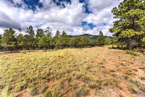 Cozy Buena Vista Apartment Less Than 4 Mi to Main Street! Apartment in Park County