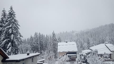 Forest Escape Nature lodge in Federation of Bosnia and Herzegovina