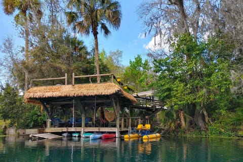 Dock and Kayaks Riverfront Dunnellon Home! House in Dunnellon