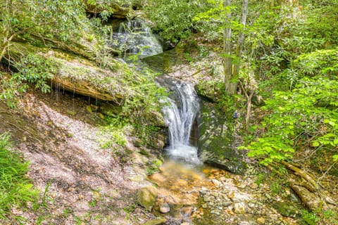 Bryson City Cottage with Hot Tub and Waterfall Views! House in Swain County