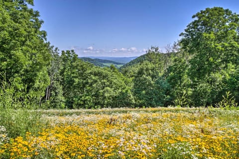 La Crescent Cottage on Minnesota Bluffs with View! House in Wisconsin