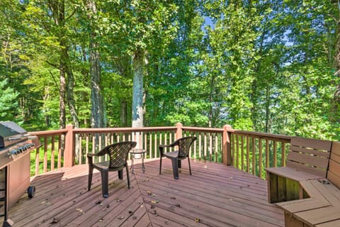 Hendersonville Cantrell Cottage - Smoky Mtn View Apartment in Laurel Park