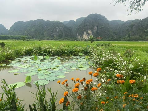 Spring, Day, Natural landscape, Garden view, River view