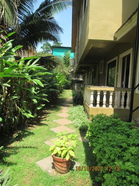Property building, Day, Garden, Garden view