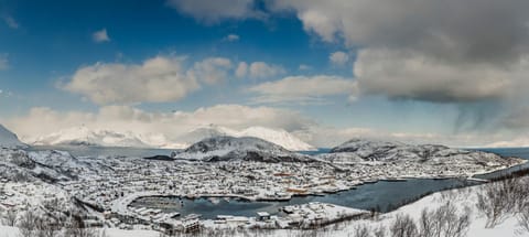 Natural landscape, Winter