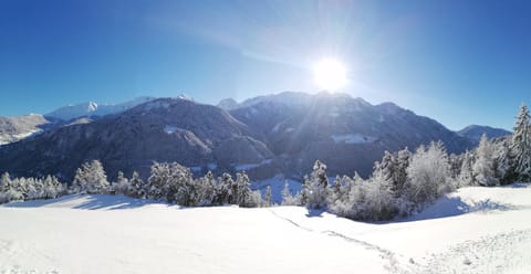 Haus Illmer - Fiss Apartment in Serfaus