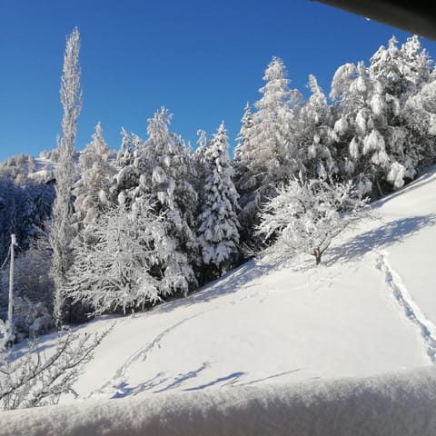 Haus Illmer - Fiss Apartment in Serfaus