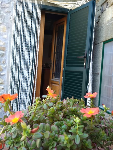 Patio, Balcony/Terrace