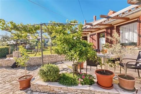Patio, Garden