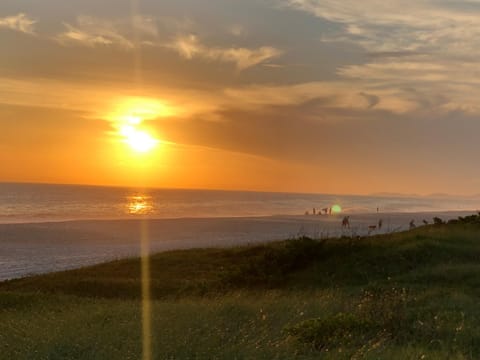 Natural landscape, Beach, Sunset