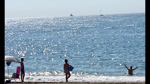 Nearby landmark, Beach