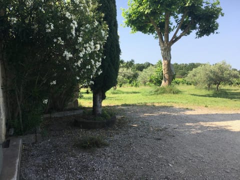 Natural landscape, Garden, Garden view, Parking