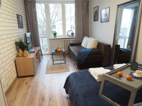 Living room, Photo of the whole room