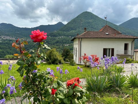 Villa Oleandra with Garden&Swimming pool Apartment in Canton of Ticino