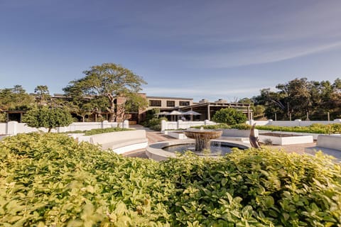 Property building, Garden, Garden view