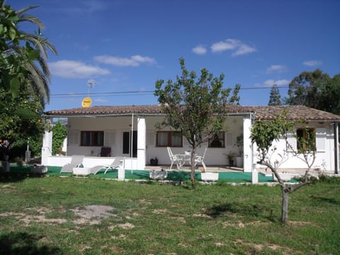 Property building, Day