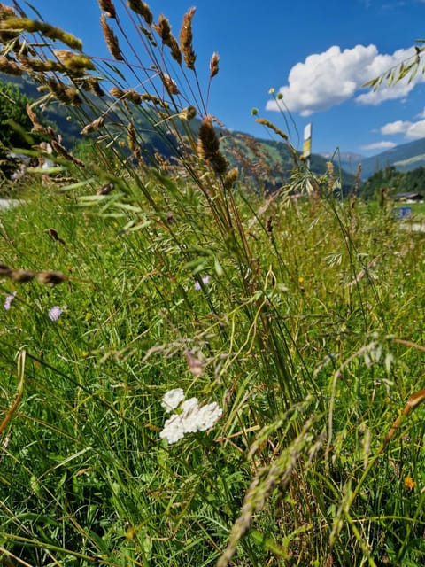 Natural landscape