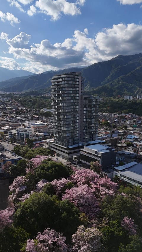 Property building, Spring, City view