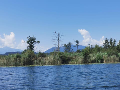 Ferienwohnung Melanie Apartment in Friuli-Venezia Giulia