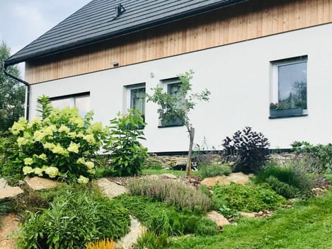 Property building, Garden view