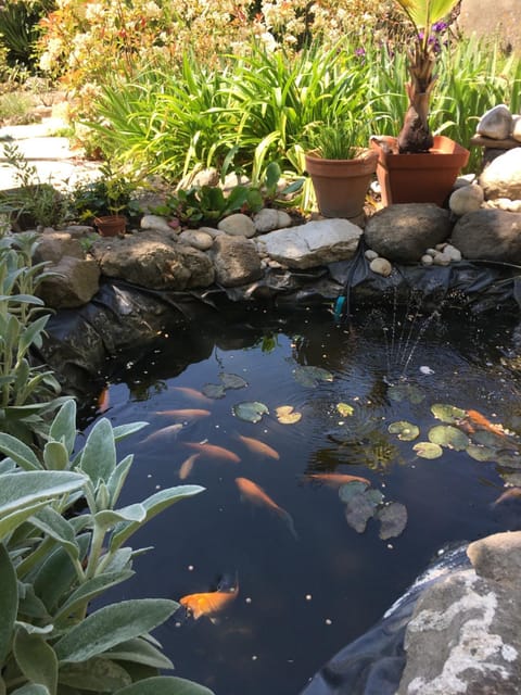 Garden Annexe House in Cagnes-sur-Mer