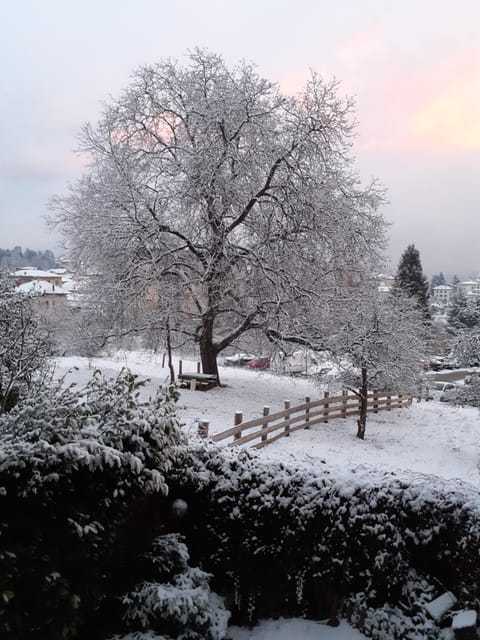 Natural landscape, Winter