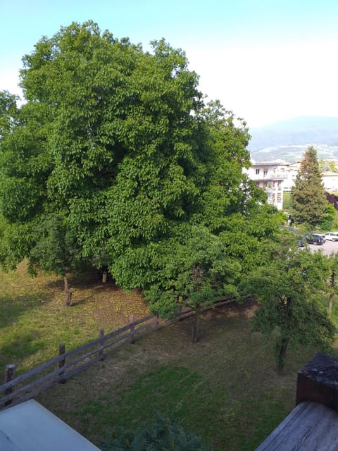 Spring, Natural landscape