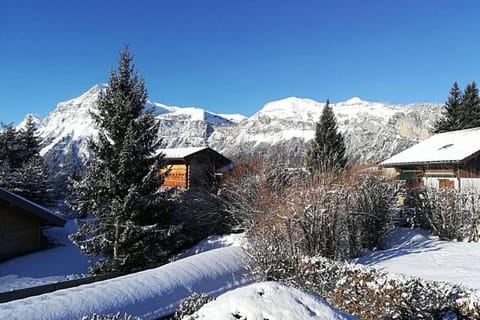 Eden Roc Grand Massif Apartment in Arâches-la-Frasse
