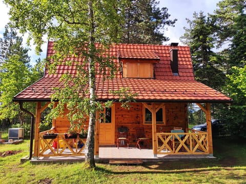 Brvnara 23 minimum 2 noći House in Zlatibor District, Serbia