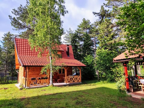 Brvnara 23 minimum 2 noći House in Zlatibor District, Serbia