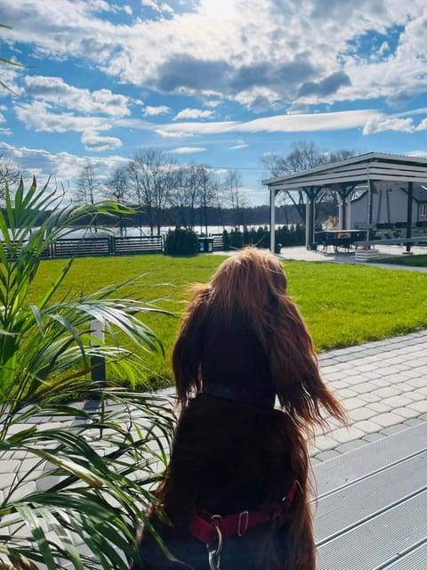 Day, Natural landscape, Garden, Animals, Pets, Garden view