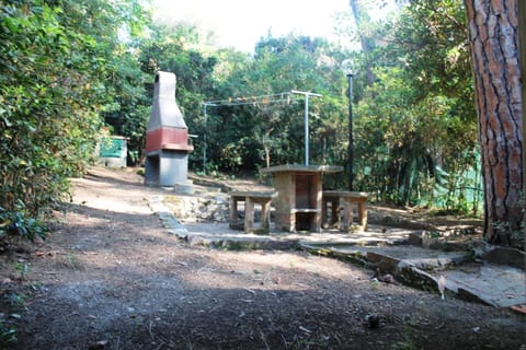 Filippi Pineta- villetta terra/tetto a soli 200m. dal mare House in Tuscany