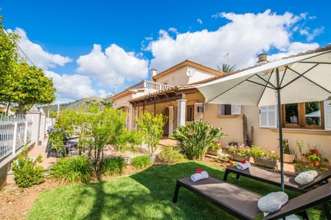 Patio, Garden, Garden view