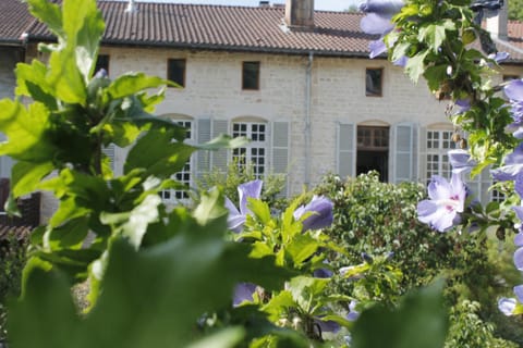 Facade/entrance, Garden