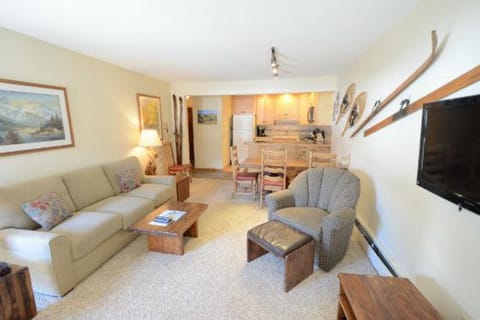 Copper Springs 434 Apartment in Copper Mountain